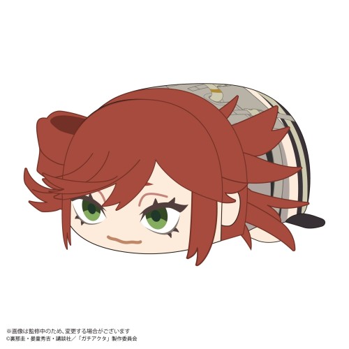 ML GACHIAKUTA 廢淵戰鬼 趴姿布偶 趴娃 M尺寸 D 理遙