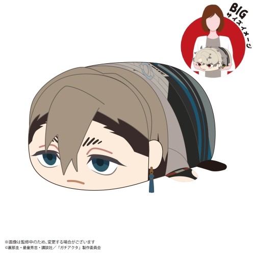 ML GACHIAKUTA 廢淵戰鬼 趴姿布偶 趴娃 BIG C 贊卡