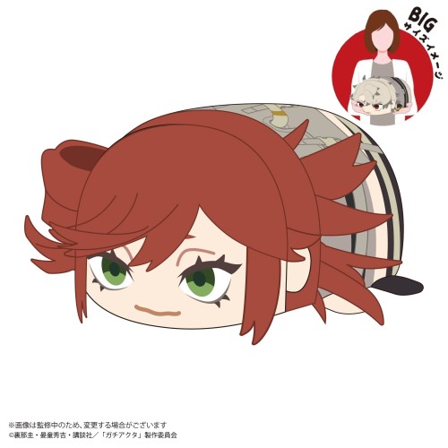 ML GACHIAKUTA 廢淵戰鬼 趴姿布偶 趴娃 BIG D 理遙