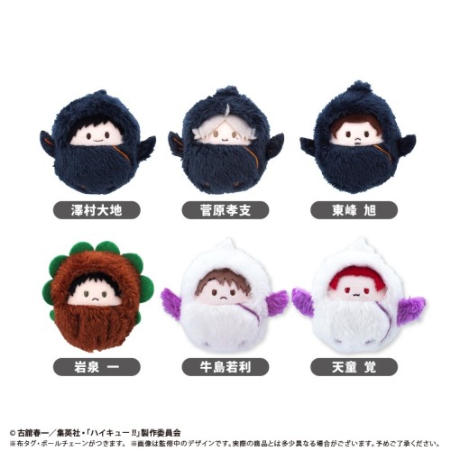 中盒6入 TAPIOCA 排球少年!! 動物裝布偶收藏集 寶寶娃 第3彈