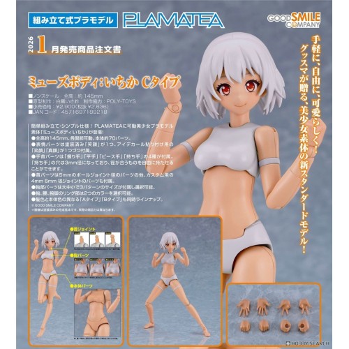 GSC 組裝模型 PLAMATEA Muse Body: Ichika C類型