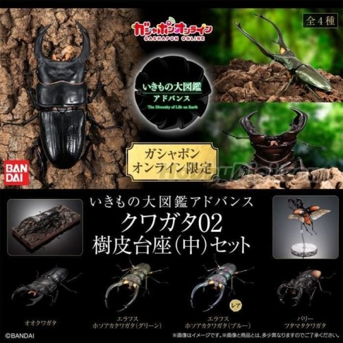 萬代 扭蛋 生物大圖鑑 鍬形蟲02 一套四款 附樹皮底座(中)