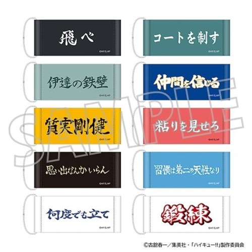中盒10入 Movic 排球少年!! 橫斷幕 迷你掛軸收藏集 第1彈